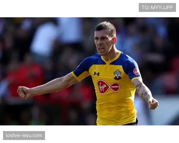 霍伊别尔回顾职业生涯：从青训新星到英超中场核心的成长之路