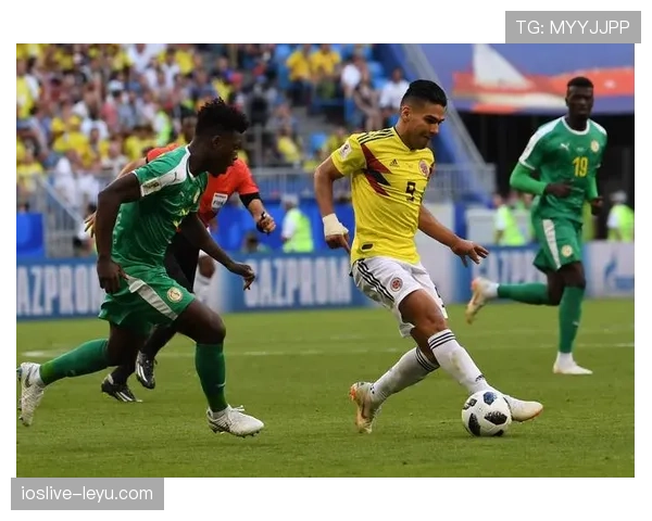 美洲杯下届举办地揭晓：独特文化魅力引全球瞩目