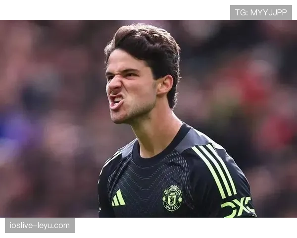 沃尔夫斯堡新援加盟助力球队实力跃升,状态稳健成联赛焦点 沃尔夫斯堡新援加盟助力球队实力跃升,状态稳健成联赛焦点