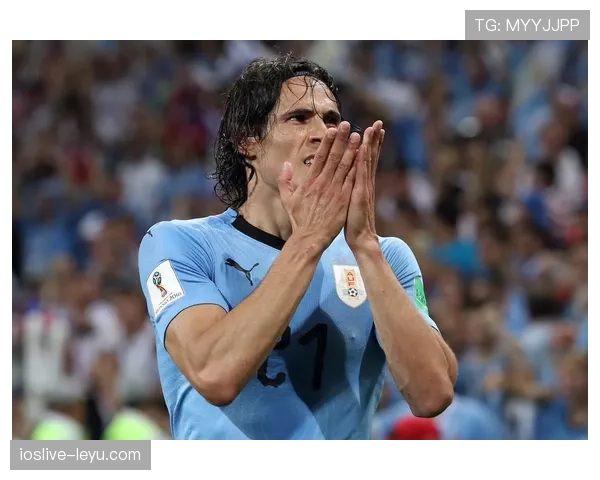 乌拉圭队攻防兼备，战术革新引全球瞩目