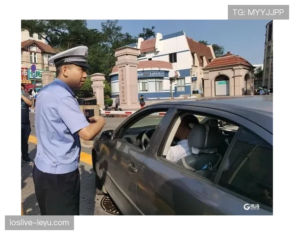 伊萨克速度分析技术助力交通安全：新研究揭示其在事故预防与道路优化中的广阔应用前景