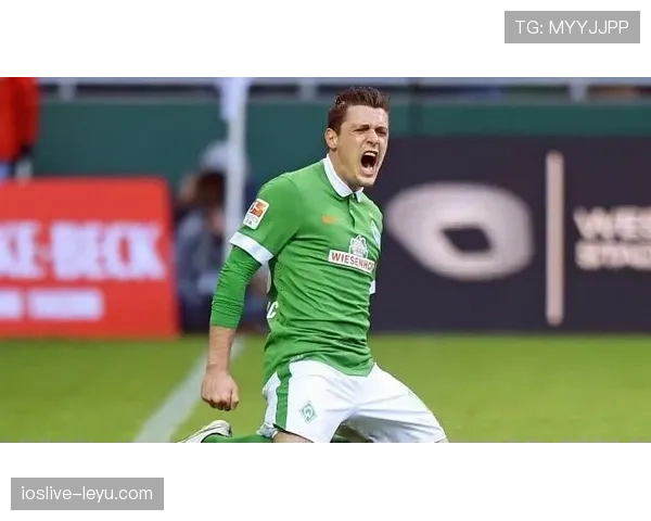 不来梅本赛季数据分析显示竞争力增强