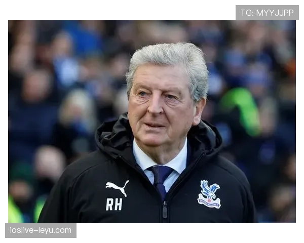 霍奇森在水晶宫表现 霍奇森在水晶宫表现