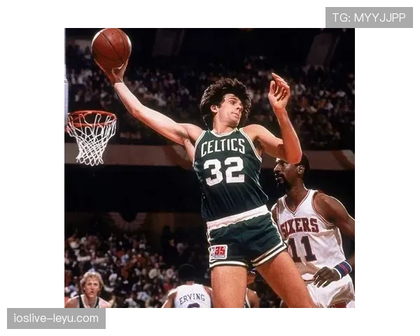 麦克海尔低位单打效率碾压同位置，80年代内线得分结构典范