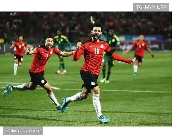 埃及世界杯历史突破:进入2026世界杯32强 埃及世界杯历史突破:进入2026世界杯32强